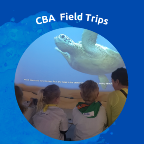 Attention Elementary Parents: Class Field Trips