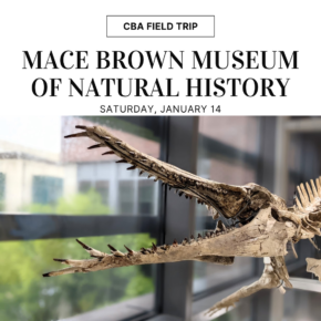 January 14: Mace Brown Museum of Natural History at CofC