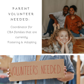 parent-volunteer