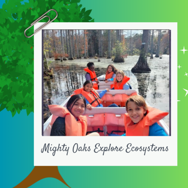 Mighty Oaks Explore Ecosystems